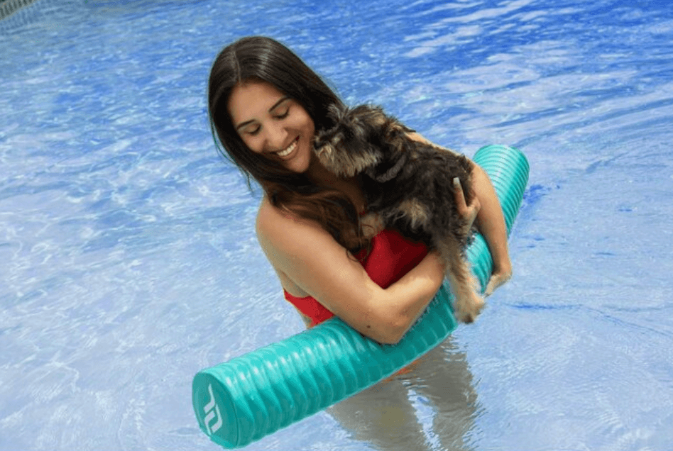 IMMERSA Swimming Pool Noodle Delux